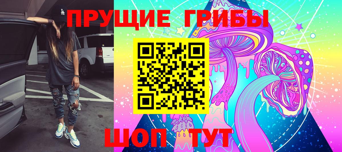 Псилоцибиновые грибы Psilocybine cubensis Ржев