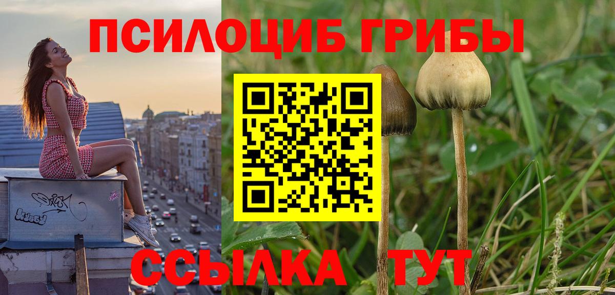 Псилоцибиновые грибы Psilocybine cubensis  Вход с VPN  Псилоцибиновые грибы MAGIC MUSHROOMS  Ржев 